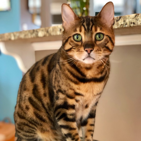 Meet Me #2!  Plz drop in to browseโฆ offerโฆ buyโฆ. askโฆ chatโฆ Nice to meet U! - Picture 4 of 15